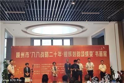 浙江省嵊州市老年书画研究会承办“八八战略二十年，银耀剡韵颂蝶变”书画展